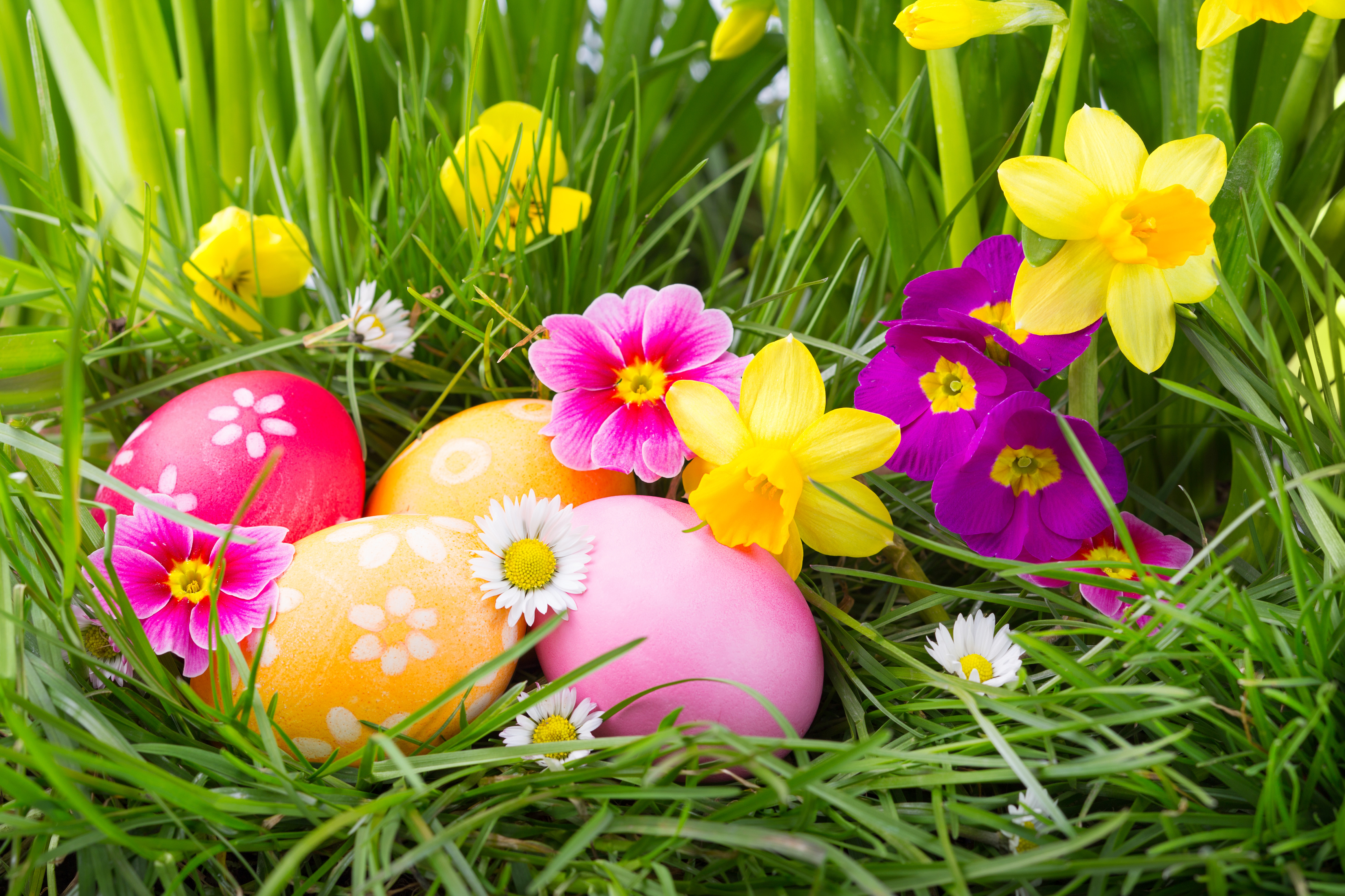 Foire de Printemps aux Pépinières des Sources - Blog des ...